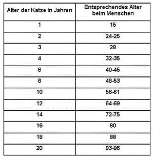 Umrechnung Menschenalter/Katzenalter