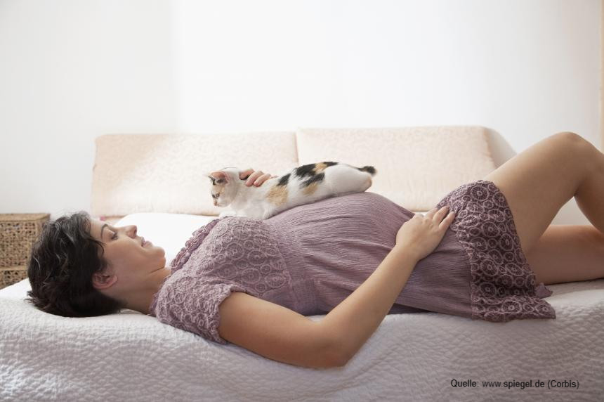 Abbildung: Schwangere mit Katze (Modellfoto)