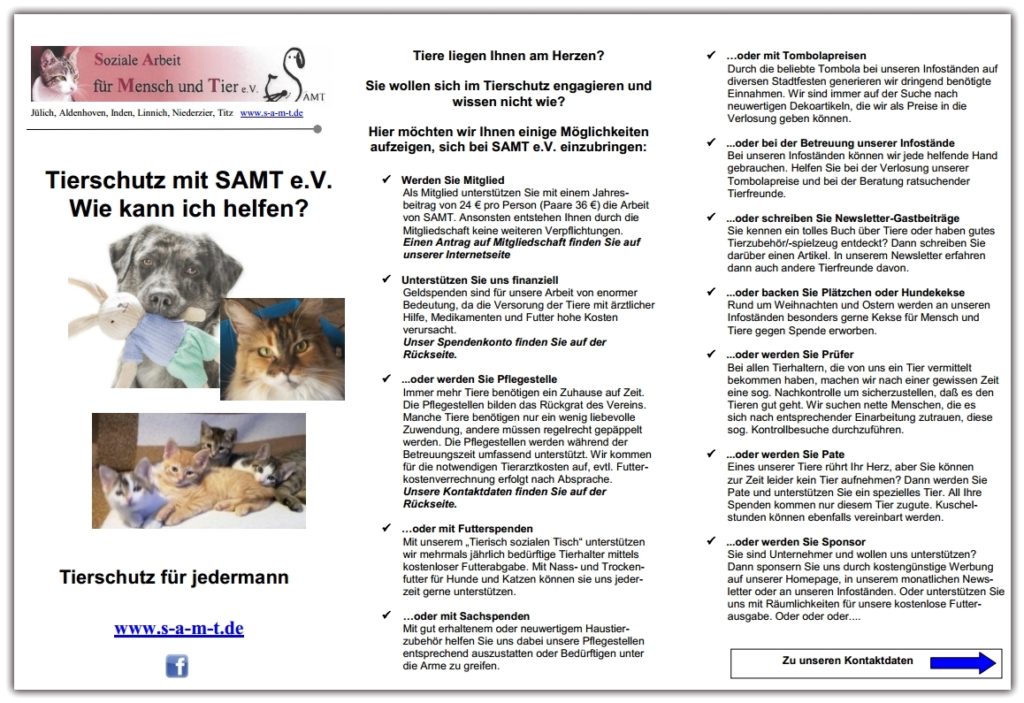 Abbildung: Erste Seite des neuen Flyers