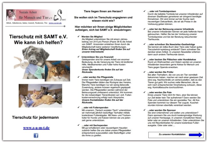 Abbildung: Erste Seite des neuen Flyers