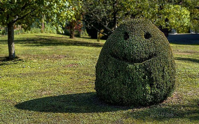 Freundlich lächelnde Hecke