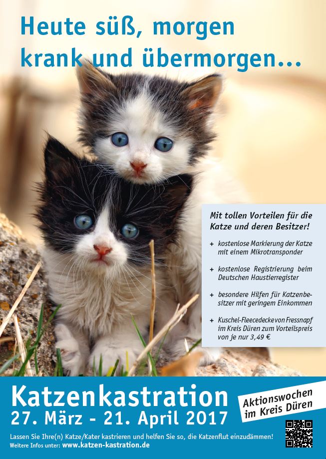 Poster für das Katzenkastrationsprojekt