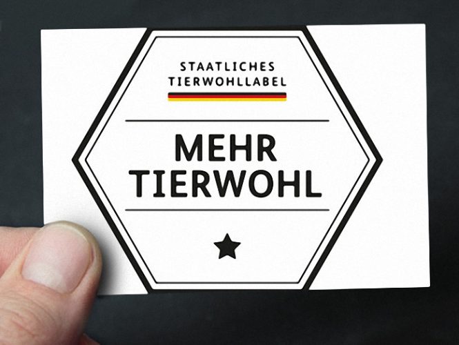 Das Tierwohl-Label – Enttäuschung auf ganzer Linie