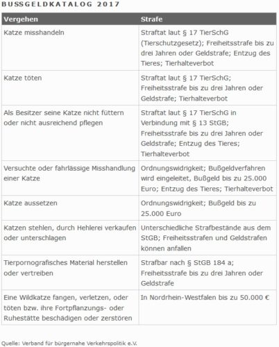 Bußgeldkatalog